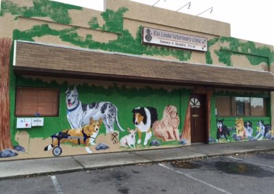 Our Pets/Family mural Rio Linda Veterinary Clinic