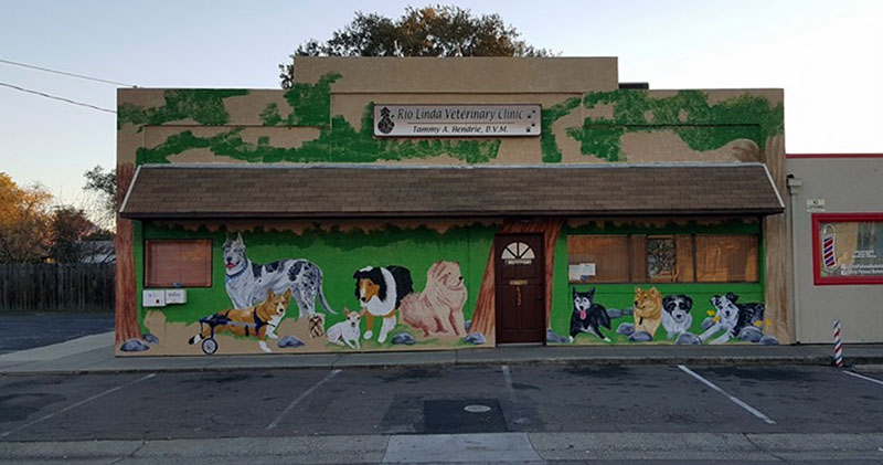 'Our Pets/Family' mural Rio Linda Veterinary Clinic