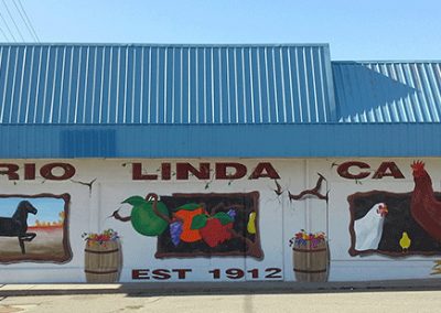 Rio Linda California community pride mural